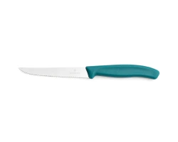 Nóż do steków Victorinox 6.7234.C1 - 11 cm zielony
